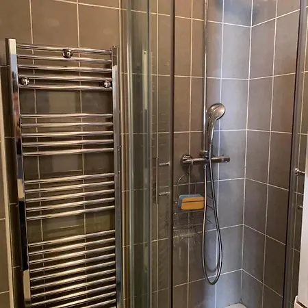 Centre דירה ניס